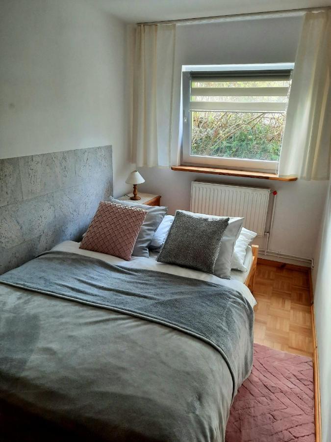 Apartament Albion 스클라르스카포렘바 외부 사진